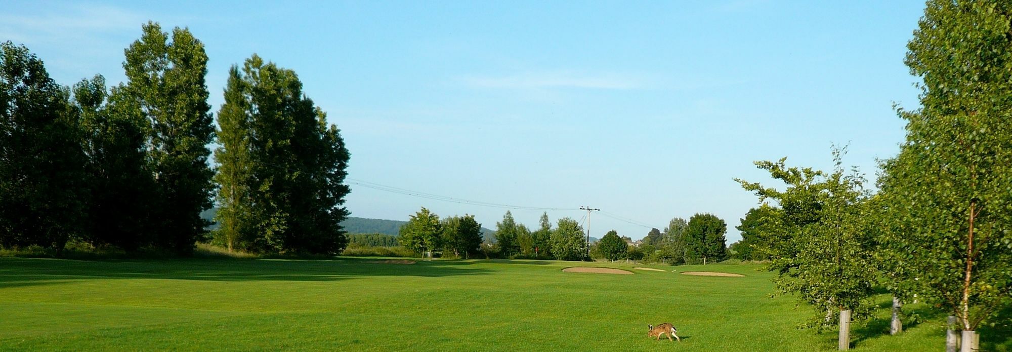 Mendip Spring Golf And Country Club Pensionat Churchill  Eksteriør billede